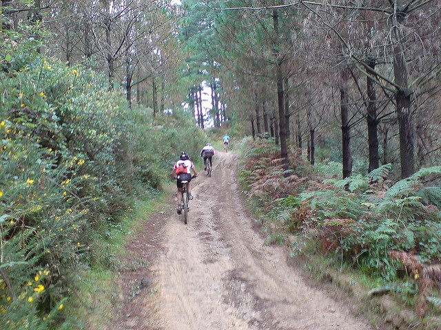Rutas guiadas en BTT